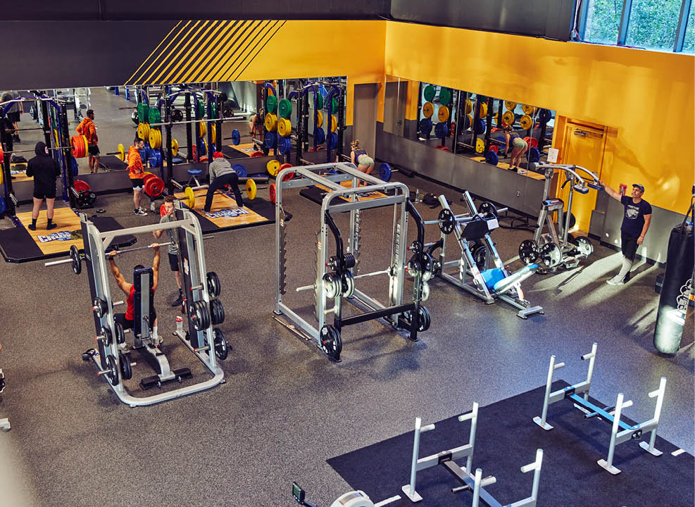 What Are the Best Gym Membership Deals and Discounts Our Insider Tips